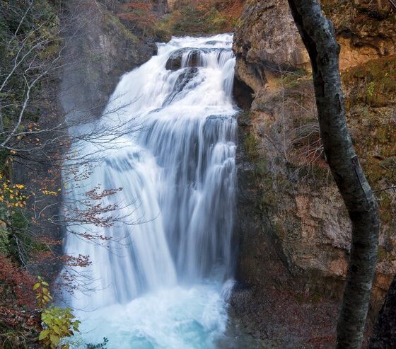 Dougan Falls