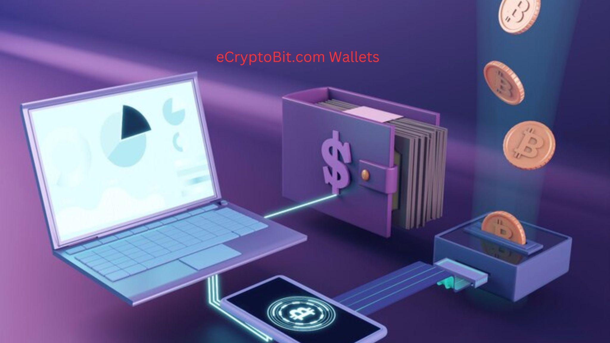 eCryptoBit.com Wallets