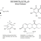 HCOOCH CH2 H2O | Key Chemical Properties Explained